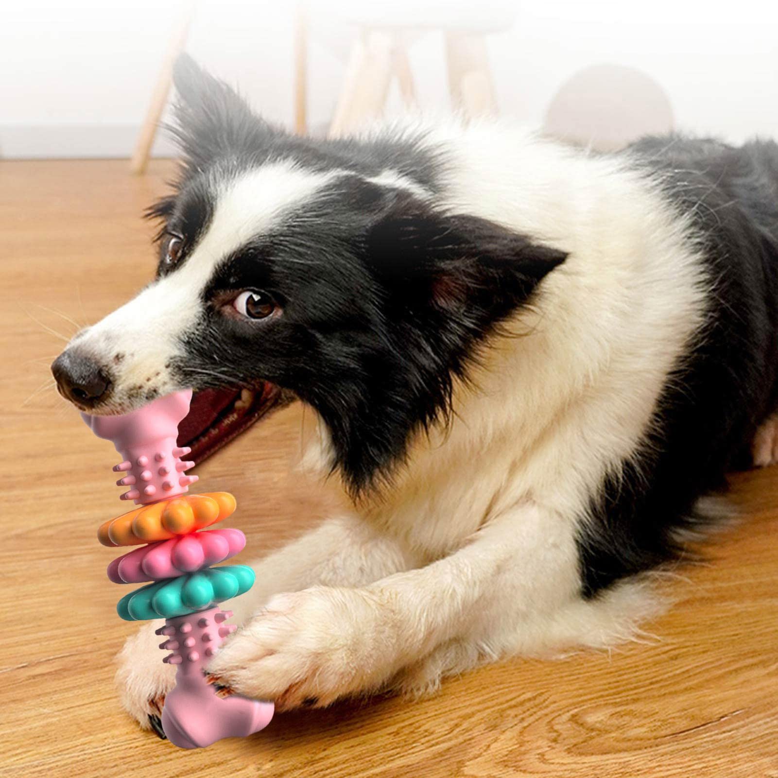 Dog Chew Toy – Dental Cleaning Bone